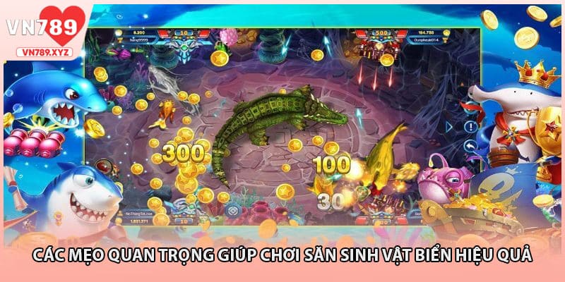 Các mẹo quan trọng giúp chơi săn sinh vật biển hiệu quả