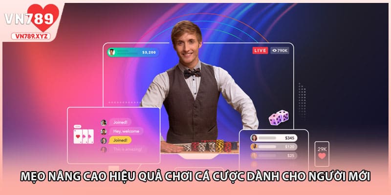 Mẹo nâng cao hiệu quả chơi cá cược dành cho người mới