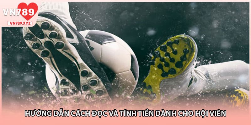 Hướng dẫn cách đọc và tính tiền dành cho hội viên